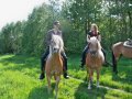 100_3153.jpg